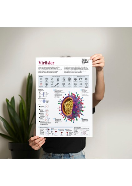 Virüsler Posteri - PO720 fiyatları