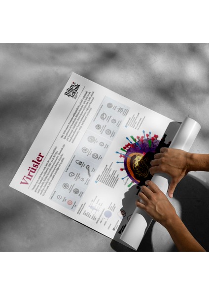 Virüsler Posteri - PO720 modelleri