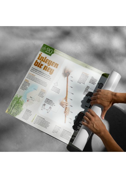 Ney Posteri- PO699 fiyatları