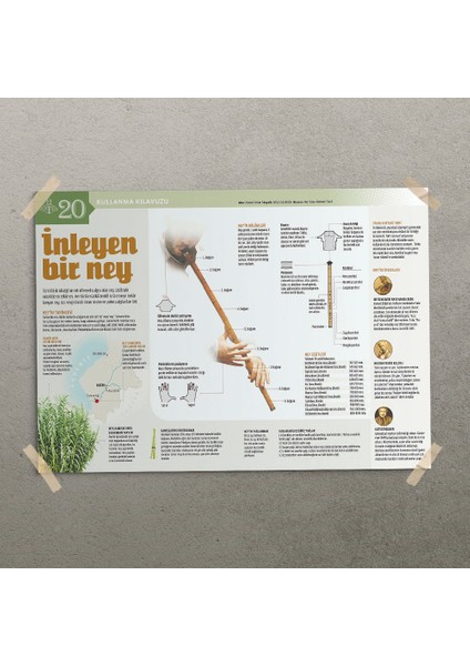 Ney Posteri- PO699 modelleri