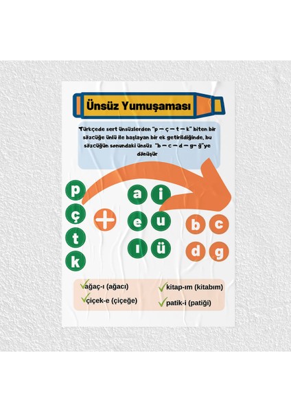 Ünsüz Yumuşaması Posteri - PO764