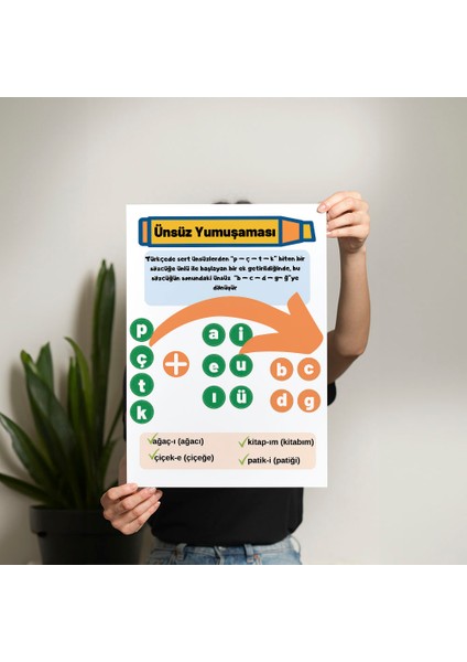 Ünsüz Yumuşaması Posteri - PO764 fiyatları