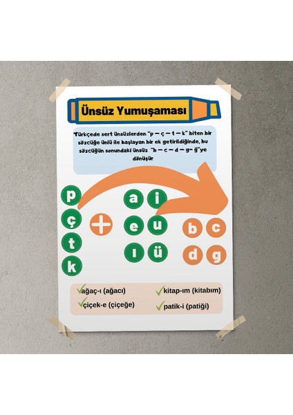 Ünsüz Yumuşaması Posteri - PO764 fırsatları