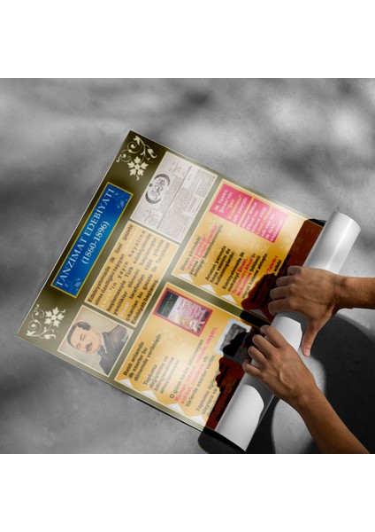 Tanzimat Edebiyatı Posteri- PO366 modelleri