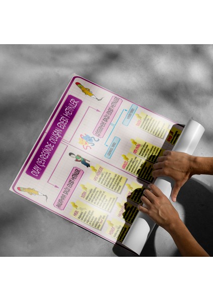 Olay Sonrasında Oluşan Edebi Metinler Posteri- PO360 modelleri