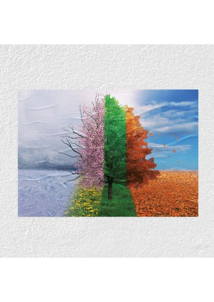 Mevsimler Posteri - PO643