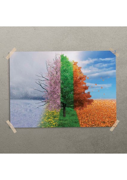 Mevsimler Posteri - PO643 modelleri