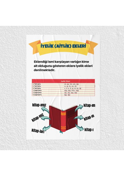 Iyelik Ekleri Posteri - PO743