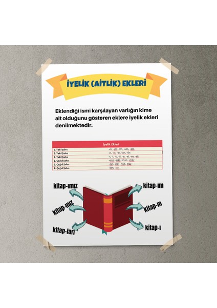 Iyelik Ekleri Posteri - PO743