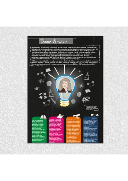 Isaac Newton Posteri - PO241