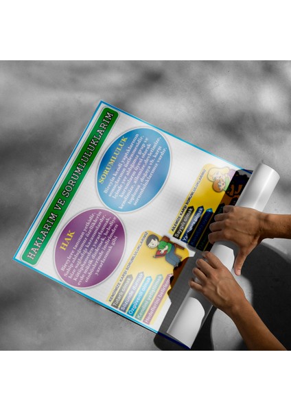Haklarım ve Sorumluluklarım Posteri - PO577 modelleri