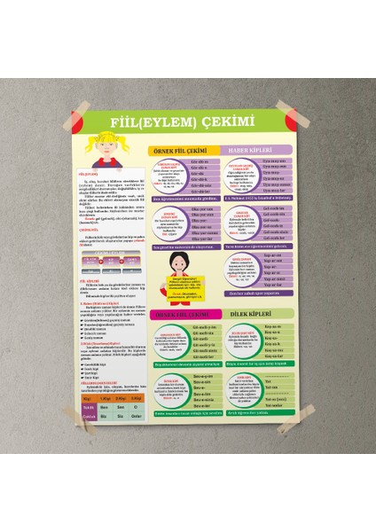 Fiil Çekimi Posteri - PO741