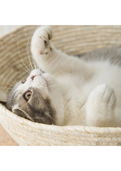 Yastık Stili Yok S Beden Japon Tarzı Kedi Yatağı Rattan Dört Mevsim Evrensel Kedi Yatağı Dokuma Kedi Yatağı Kanepe Sepeti Yuva Yaz Serin Yuva Pet Kedi Malzemeleri* (Yurt Dışından) fırsatları