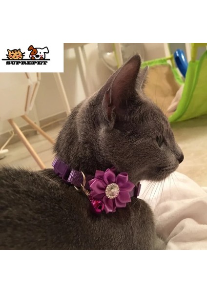 Pembe Tarzı S Beden Suprepet Pet Kedi Yaka Çiçek Çan Elmas Köpek Kedi Yaka Ayarlanabilir Kolay Aşınma Toka Güzel Kedi Kolye Kedi Aksesuarları (Yurt Dışından) fırsatları