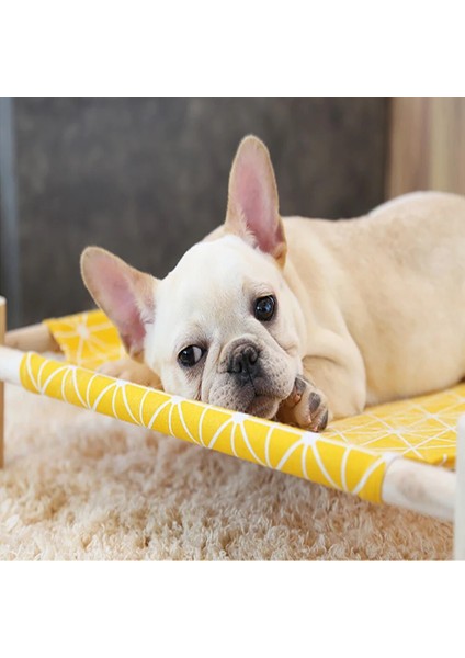 Sadece Yeşil Tuval Stili Dayanıklı Tuval Kedi Yatak Evi Yükseltilmiş Kedi Hamak Yastık Küçük Köpekler Için Ahşap Tuval Kedi Salon Yatak Kediler Evi Pet Ürünleri (Yurt Dışından) fırsatları