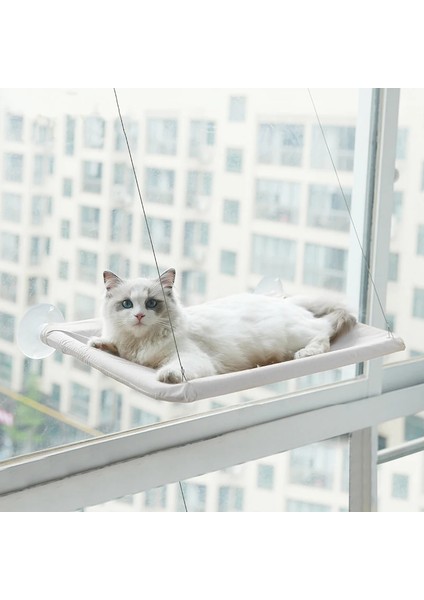 Gri Tarzı Sevimli Pet Asılı Yataklar Rulman 20KG Kedi Güneşli Pencere Koltuk Dağı Pet Kedi Hamak Rahat Kedi Pet Yatak Raf Koltuk Yatakları (Yurt Dışından)