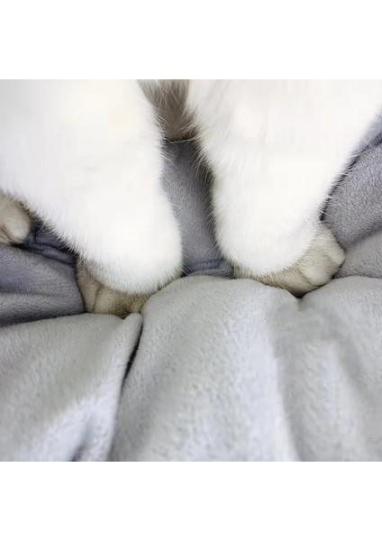 No.5 Tarzı M Beden Tatlı Kedi Yatak Sıcak Pet Sepet Rahat Yavru Kedi Şezlong Yastık Kedi Evi Çadır Yıkanabilir Mağara Kediler Yatakları Için Çok Yumuşak Küçük Köpek Mat Çanta (Yurt Dışından) indirimleri