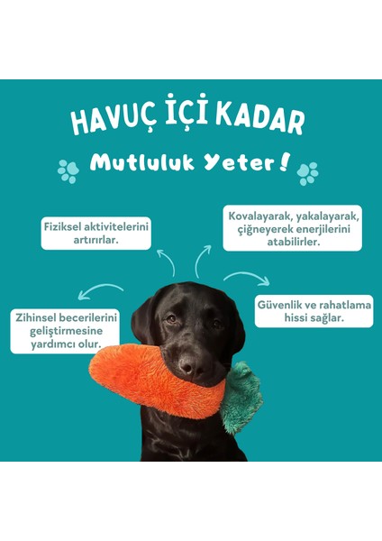 Tombik Havuç Sesli Köpek Oyuncağı Turuncu Renkli Köpek At Getir Oyun Arkadaşı