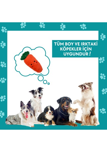 Tombik Havuç Sesli Köpek Oyuncağı Turuncu Renkli Köpek At Getir Oyun Arkadaşı