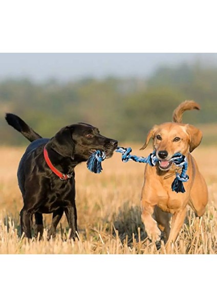 Orta Büyük Köpekler Için Interaktif Köpek Oyuncakları Yıkılmaz Dev Halat Pet Çiğnemek Oyuncaklar Güvenli Köpek Dişleri Temizleme Oyun Oyna (Yurt Dışından)
