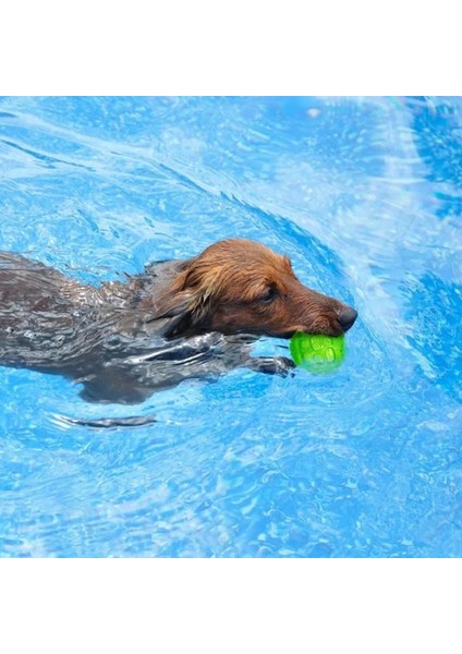 Pet Köpek Kedi Yavrusu Sondaj Oyuncak Polka Gıcırtılı Diş Temizleme Topu Oynarken Pet Diş Çiğnemek Kauçuk Oyuncak Pet Diş Bakımı Aksesuarları (Yurt Dışından)