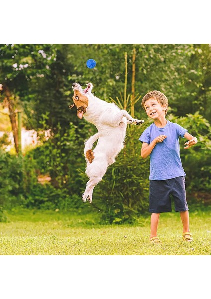 Pet Köpek Oyuncakları Köpek Topu Köpek Bouncy Kauçuk Katı Top Köpek Çiğneme Oyuncaklarına Direnç Köpekler Için Açık Atma ve Kurtarma Eğitimi (Yurt Dışından)