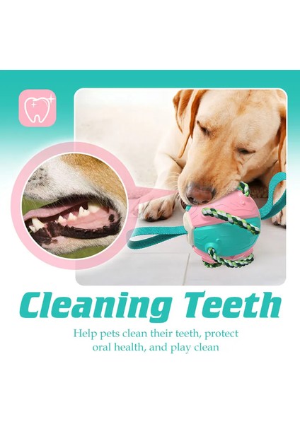 Dayanıklı Köpek Çiğneme Oyuncakları Sinek Diskleri Köpek Için Interaktif Top Atma Oyun Topu Oyunu Halatlı Diş Temizleme Köpek Oyuncak Aksesuarları (Yurt Dışından) modelleri