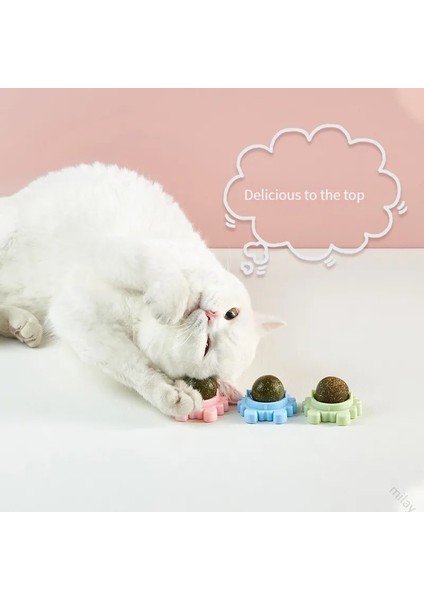 Pet Catnip Oyuncakları Yenilebilir Catnip Topu Güvenlik Sağlıklı Kedi Nane Kediler Ev Kovalayan Oyun Oyuncak Ürünleri Temiz Dişler Mide Catmint (Yurt Dışından)