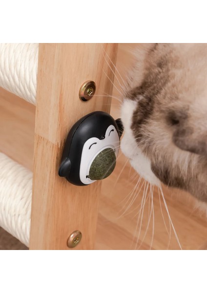 Doğal Catnip Taşlama Dişleri Nane Topu Yenilebilir Güvenlik Sağlıklı Atıştırmalık Kapalı Dönebilen Duvara Yapışan Oyuncaklar Kedi Nane Pet Malzemeleri (Yurt Dışından)