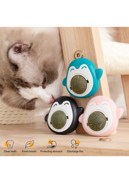 Doğal Catnip Taşlama Dişleri Nane Topu Yenilebilir Güvenlik Sağlıklı Atıştırmalık Kapalı Dönebilen Duvara Yapışan Oyuncaklar Kedi Nane Pet Malzemeleri (Yurt Dışından)