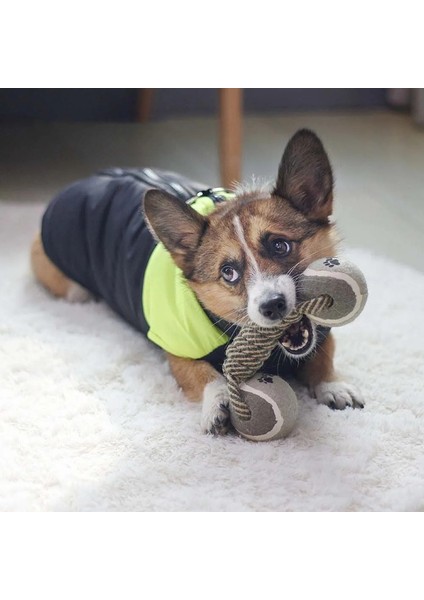 Evcil Hayvan Çiğnemek Oyuncak Pamuk Halat Tenis Dambıl Rubbertoy Top Orta Büyük Köpek Interaktif Oyuncak Hayvan Oyun Malzemeleri (Yurt Dışından)