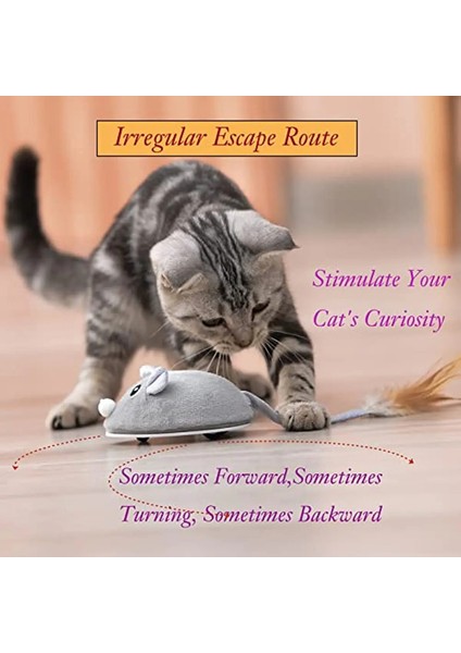 Chirping Carrot Kedi Oyunları Etkileşimli Rolling Ball Motion Sensor Otomatik Hareket Topu Oyunlarını Kediler Uzun Kuzey Oyuncu Için (Yurt Dışından) fiyatları