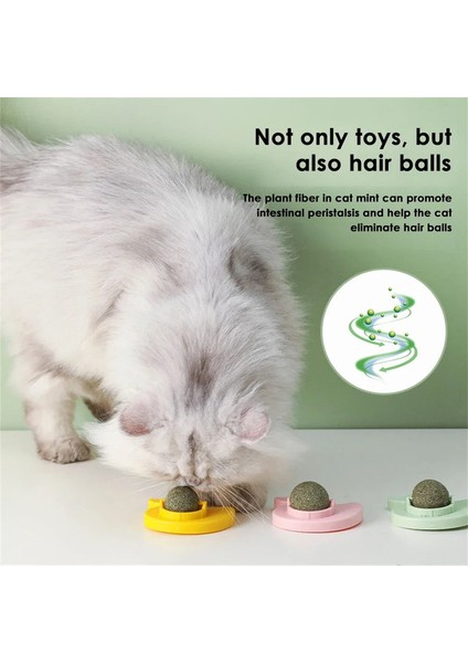 Kedi Oyuncak Top Duvara Monte Catnip Top Catnip Şeker Catnip Oyuncak Sağlıklı Beslenme Taze Nefes Yavru Kedi Aksesuarları Pet Malzemeleri (Yurt Dışından)