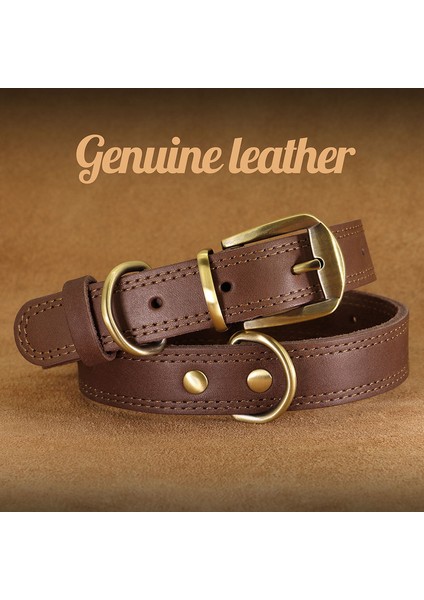 Dayanıklı Deri Köpek Tasması Gerçek Deri Köpek Tasmaları Orta Büyük Köpekler Için Ayarlanabilir Alman Çoban Eğitimi Avcılık Kahverengi (Yurt Dışından) modelleri