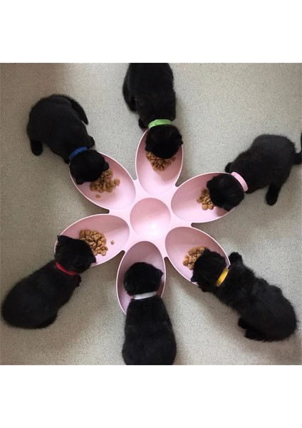 6in1 Pet Kaseler Yaratıcı Kedi Besleyici Köpek Yavrusu Su Gıda Kase Yavru Kedi Besleme Kapları Petal Çok Hücreli Çiçek Şekli Plastik Kaseler (Yurt Dışından) modelleri