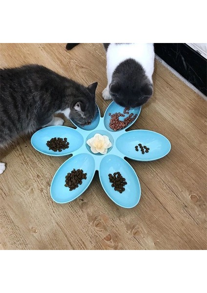 6in1 Pet Kaseler Yaratıcı Kedi Besleyici Köpek Yavrusu Su Gıda Kase Yavru Kedi Besleme Kapları Petal Çok Hücreli Çiçek Şekli Plastik Kaseler (Yurt Dışından) fırsatları