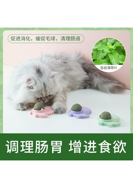 Doğal Catnip Kedi Dönebilen Catnip Duvar Topu Oyuncaklar Yalama Aperatifler Sağlıklı Beslenme Topu Diş Temizleme Catnip Oyuncak Pet Malzemeleri (Yurt Dışından)