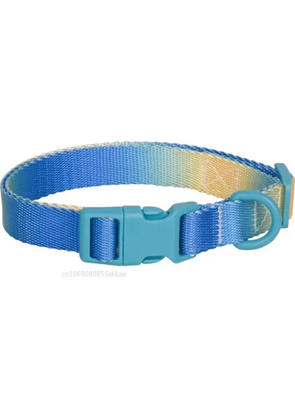 Naylon Köpek Tasması Ayarlanabilir Kedi Küçük Köpek Tasmaları Degrade Pet Kolye Moda Yakalar Küçük Orta Büyük Köpekler Için Aksesuarlar (Yurt Dışından)