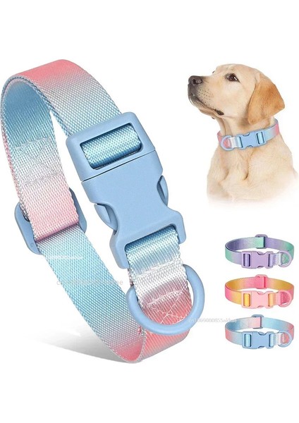 Naylon Köpek Tasması Ayarlanabilir Kedi Küçük Köpek Tasmaları Degrade Pet Kolye Moda Yakalar Küçük Orta Büyük Köpekler Için Aksesuarlar (Yurt Dışından) fiyatları