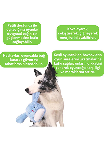 Peluş Tavşan Sesli Köpek Oyuncağı Toksik Madde Içermeyen Köpek Çekiştirme Oyuncağı