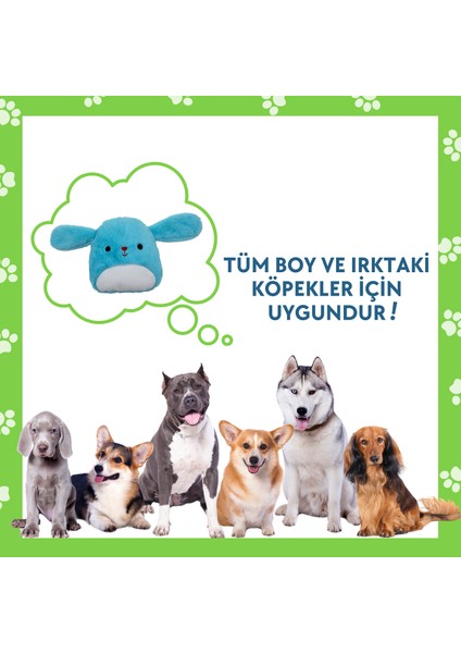 Peluş Tavşan Sesli Köpek Oyuncağı Toksik Madde Içermeyen Köpek Çekiştirme Oyuncağı