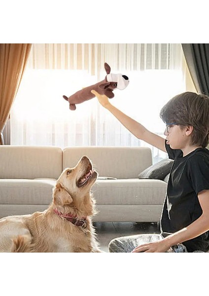 Köpek Oyuncakları Doldurulmuş Hayvanlar Yumuşak ve Sevimli Doldurulmuş Köpek Oyuncakları Interaktif Gıcırtılı Köpek Oyuncakları Köpek Oyuncakları Için Sesli Çiğneme Oyuncakları (Yurt Dışından) fırsatları