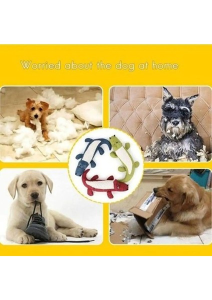 1 Adet Küçük Büyük Köpekler Için Köpek Oyuncakları Hayvan Peluş Oyuncak Köpek Kedi Pet Oyuncak Çiğnemek Halat Düğüm Kemik Halat Pet Oyuncaklar Eğitim Köpek Aksesuarları (Yurt Dışından) fırsatları