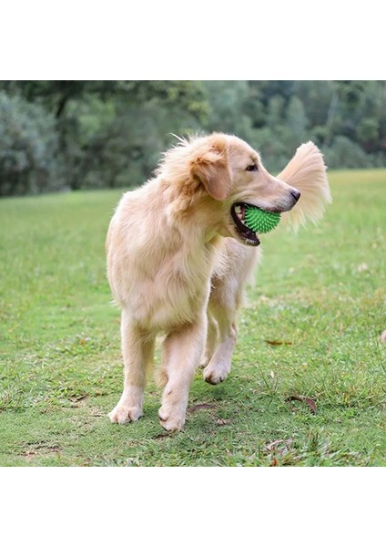 Köpek Top Oyuncak Gıcırtılı Diş Temizleme Tpr Eğitim Malzemeleri Köpek Pet Kauçuk Süper Sert Interaktif Çiğneme Oyuncak (Yurt Dışından) modelleri