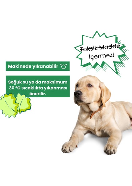 Wufsalad - Ödül Maması Oyuncağı, Köpek Yavaş Besleme Matı - Köpek Interaktif Oyuncak