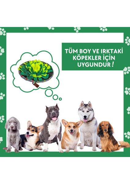 Wufsalad - Ödül Maması Oyuncağı, Köpek Yavaş Besleme Matı - Köpek Interaktif Oyuncak