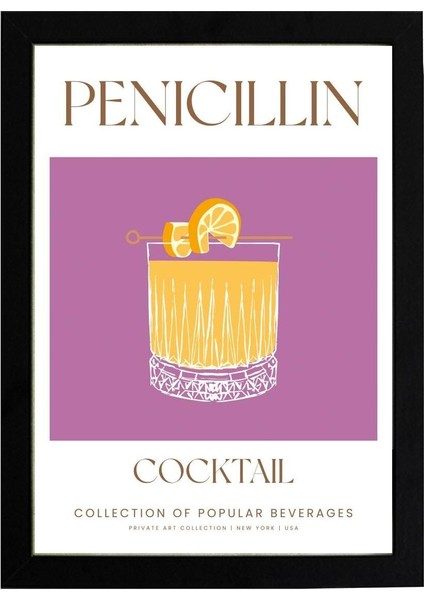 Penicillin 21 x 30 cm - Beyaz Çerçeveli