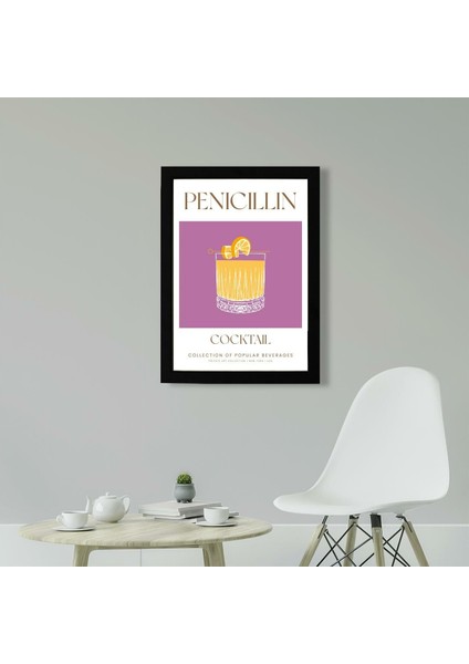 Penicillin 21 x 30 cm - Beyaz Çerçeveli