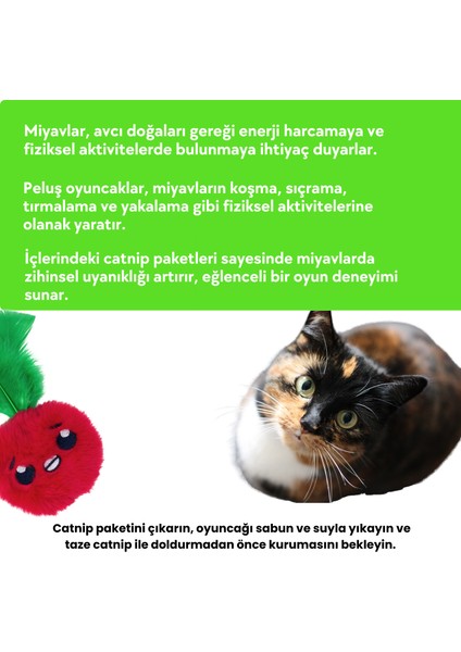 Çılgın Manav 4 Adet Peluş Kedi Oyuncak Seti 8 Adet Kedi Nanesi Paketi Dahil Peluş Kedi Oyuncakları fırsatları