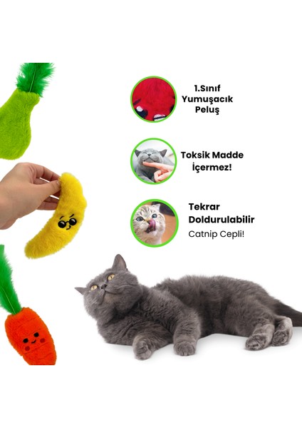 Çılgın Manav 4 Adet Peluş Kedi Oyuncak Seti 8 Adet Kedi Nanesi Paketi Dahil Peluş Kedi Oyuncakları
